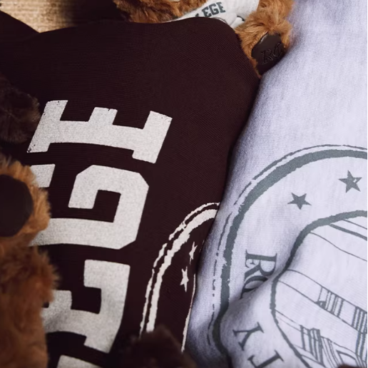 Line Friends - Recto X Brown Sweatshirt