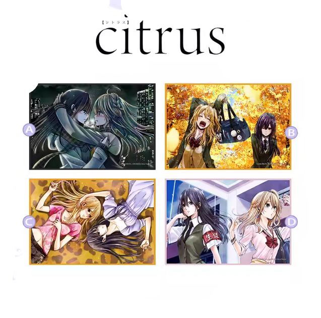 【Pre-Order】Citrus - Acrylic Colored Paper