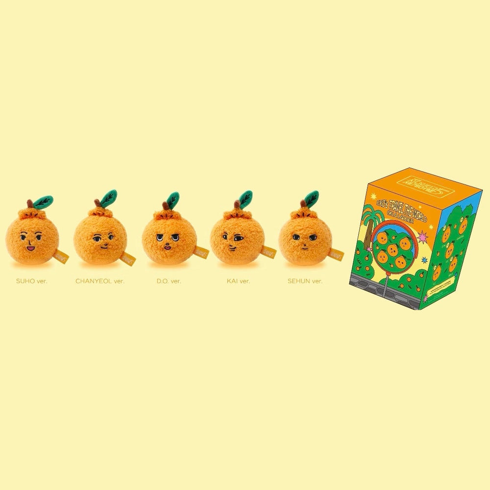 【Pre-Order】EXO - Travel The World On A Ladder Magnetic Refrigerator Magnet Blind Box