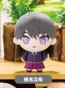 【Pre-Order】BanG Dream! x Bushiroad EXPO 2026 - Puchish! Series - CRYCHIC Plush Figure