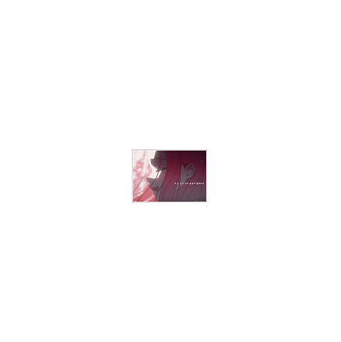 Alien Stage x animate cafe - Exhibition 2026 Series - Lyric Acrylic Visual Panel