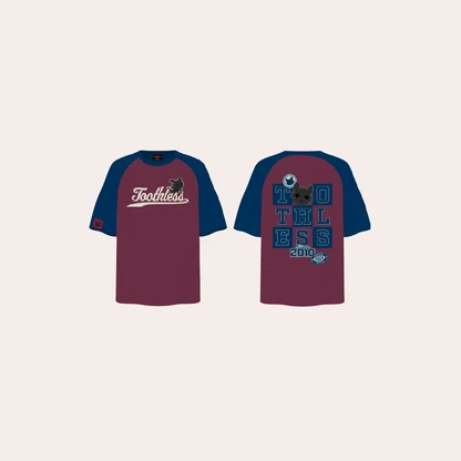 【Pre-Order】How to Train Your Dragon - Color-Block Kids T-Shirt